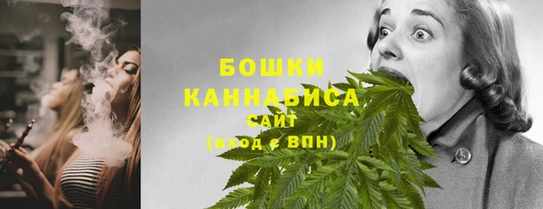 индика Каменск-Шахтинский
