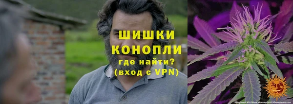 индика Каменск-Шахтинский