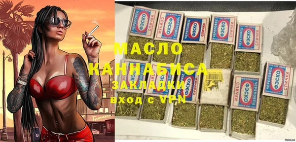 индика Каменск-Шахтинский