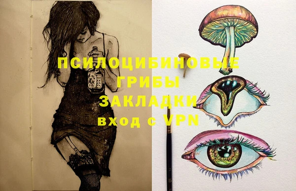 индика Каменск-Шахтинский