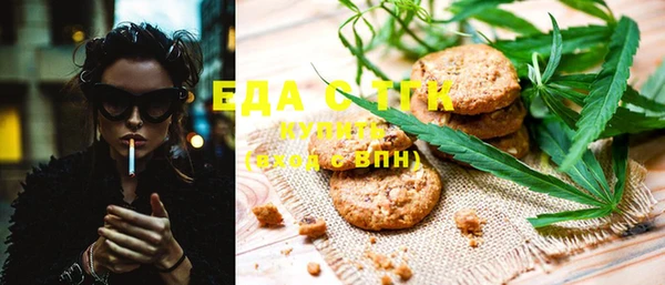 индика Каменск-Шахтинский
