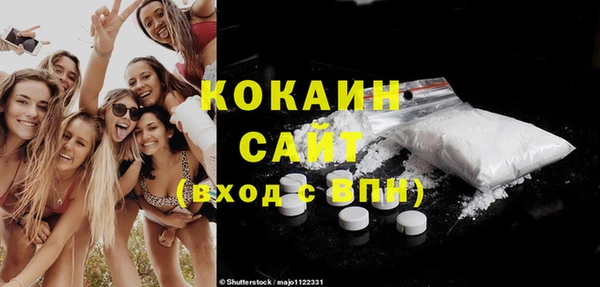 индика Каменск-Шахтинский