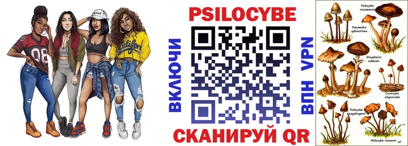 Псилоцибиновые грибы прущие грибы  Купить закладки  Вязники 