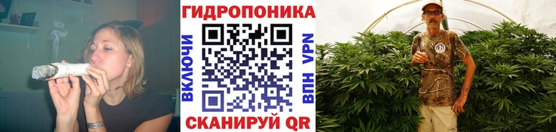 Бошки марихуана Amnesia Вязники